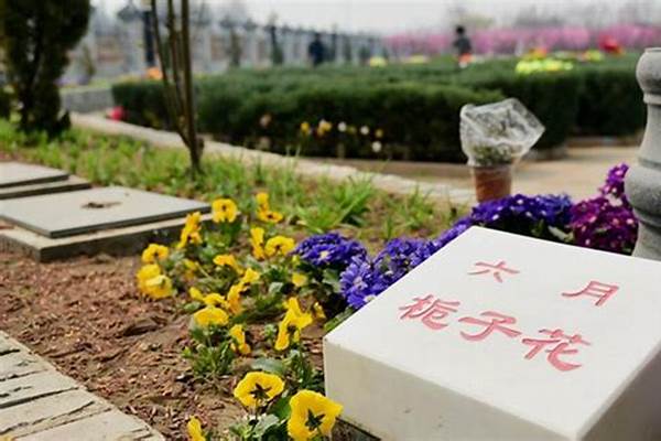 叶落葬花是什么意思_求个带赤字的网名要好听和符号还要风