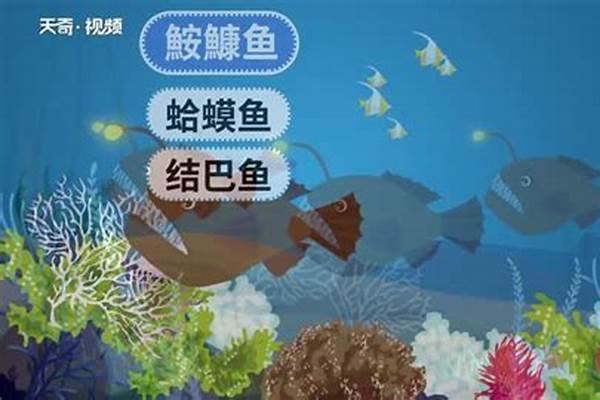 听说海老头鱼特别的好吃,海老头鱼的做去方