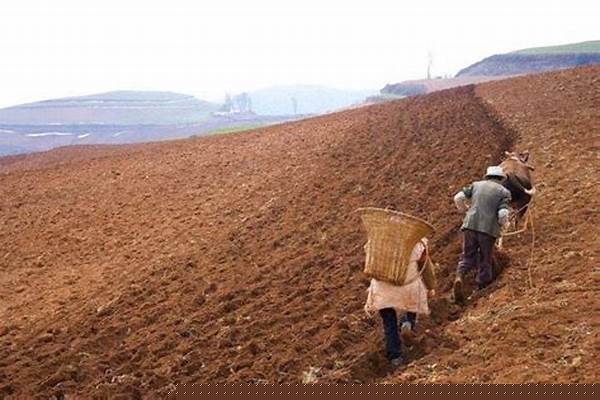在没有土地的情况下,是否违法拆迁