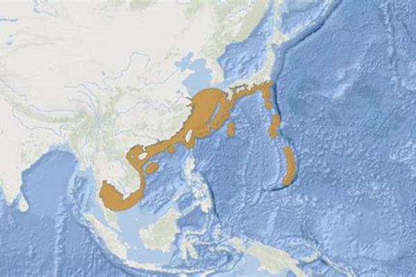 大航海之路蓝圆鲹_土豪巴浪鱼介绍