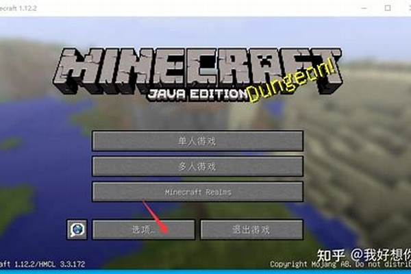 我的世界安装了光影却没有光影选项