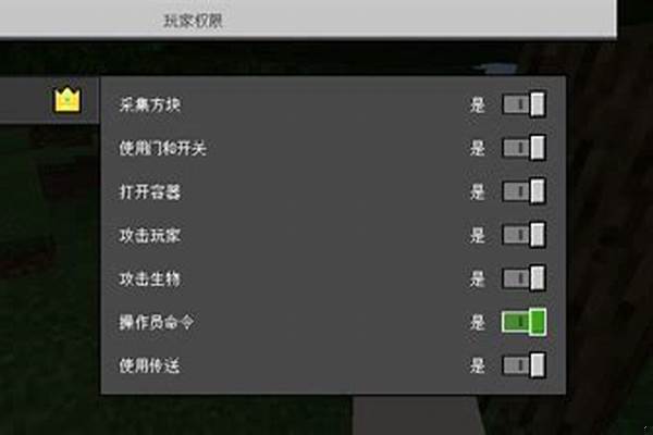 我的世界指令生成100个末影水晶_我的世界怎么用命令方块弄末影水晶