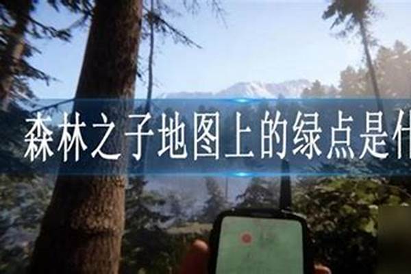 森林2绿点有什么