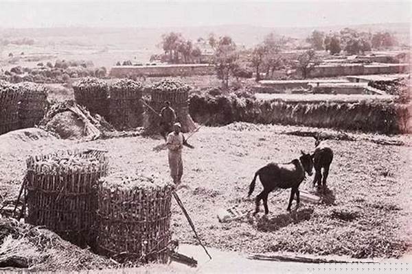 生产队时期,听说结婚有“换亲”,换亲是怎