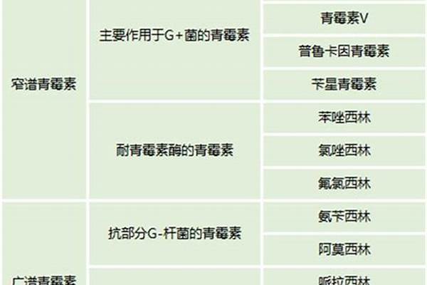 青霉素所有类型的价格