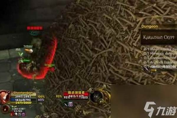魔兽世界如何限制副本进入_魔兽世界多少级能打10人副本